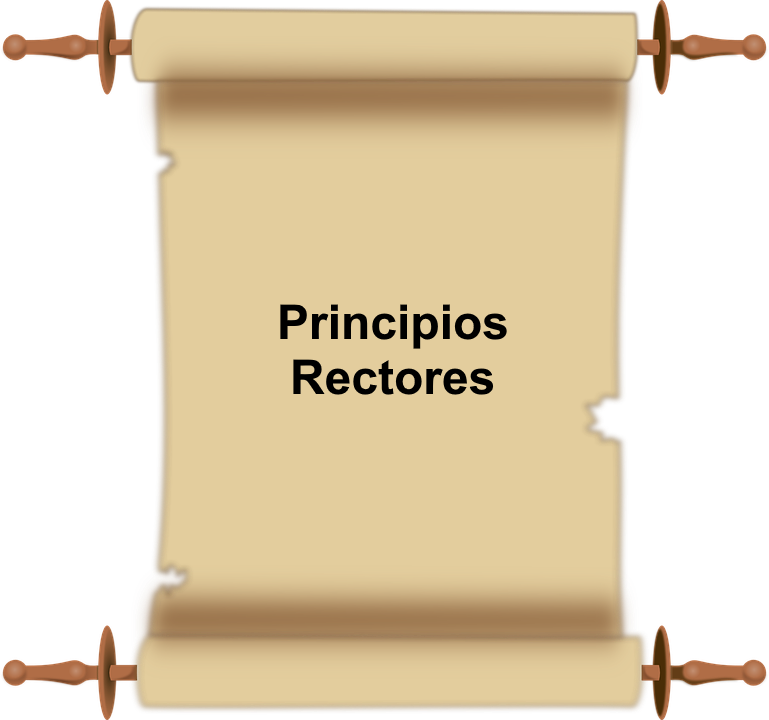 Principios Rectores del IETAM